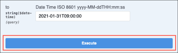 Screenshot showing the location of the Execute button in the Swagger test interface.